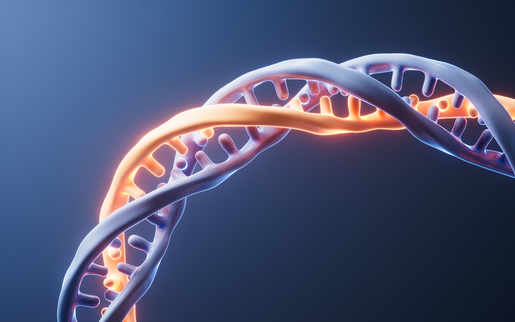 Panel genético para cáncer de mama y ovario (28 genes) 