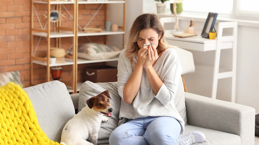 Perfil de Alergia Inhalatoria (IgE)