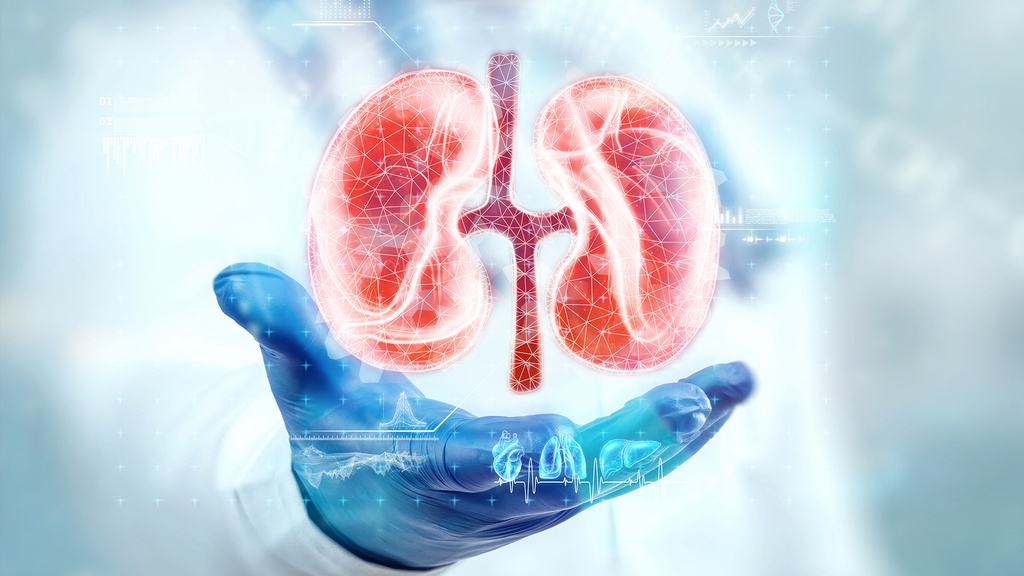 Perfil Salud Renal 1
